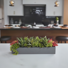 Rectangular Artificial Succulent Arrangement, Gray Planter