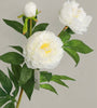Realistic Artificial Peony - Bundle of 3
