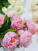 Realistic Artificial Peony - Bundle of 3