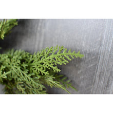 Cedar Wreath