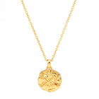 Zodiac Constellation Coin Necklace on gold chain