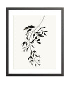 Botanical Ink Study II