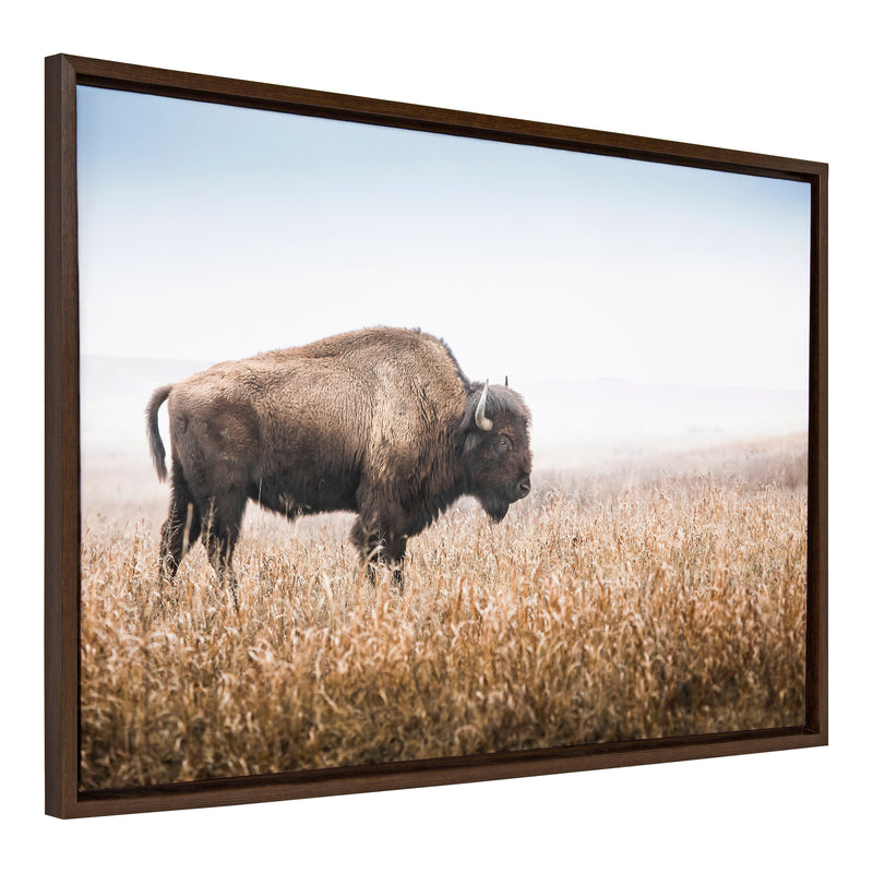 Sylvie American Bison Buffalo in Prairie Grass Framed Canvas by Warren Metcalf