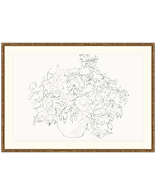 Vase of Flowers Sketch