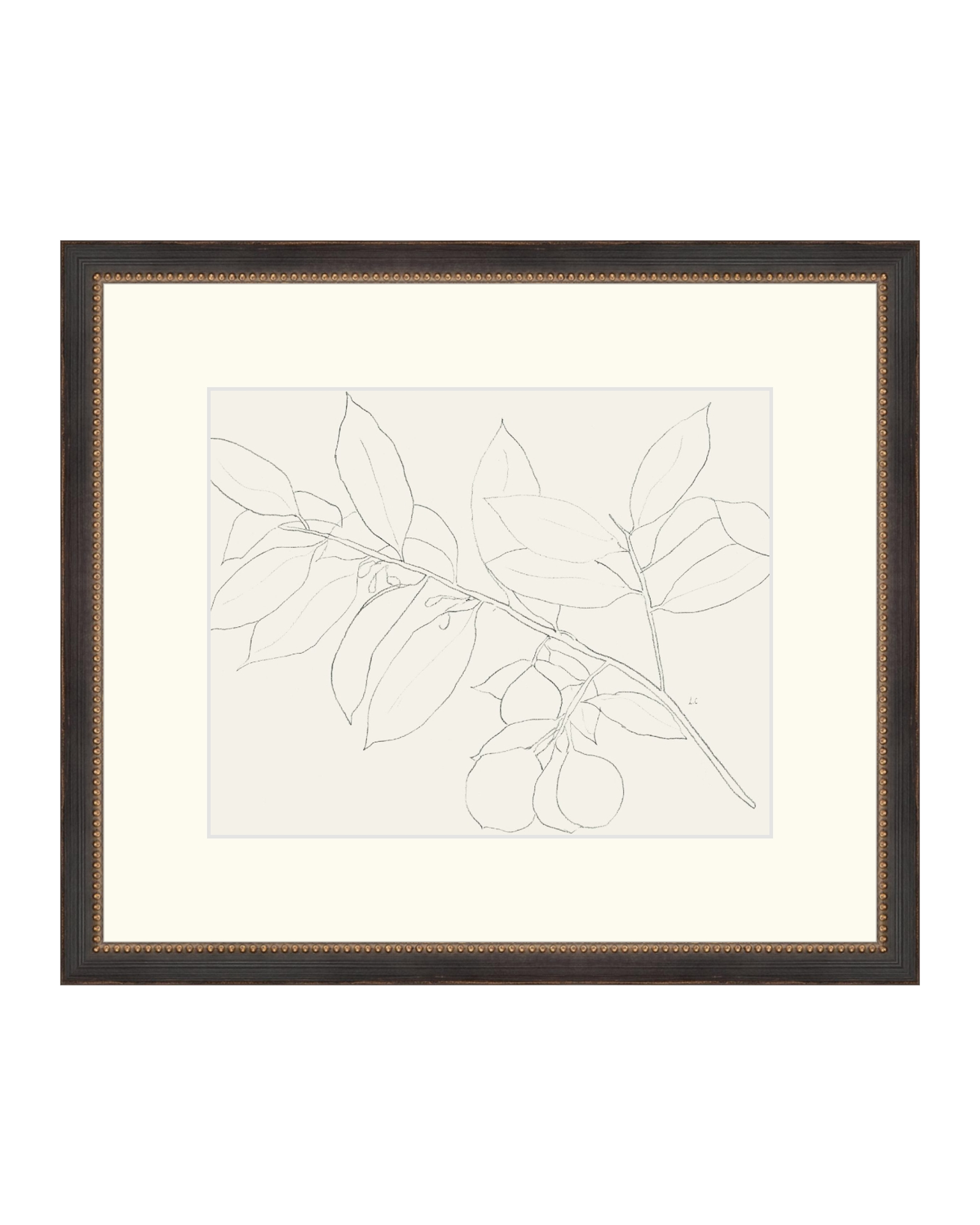 Lemon Branch Drawing
