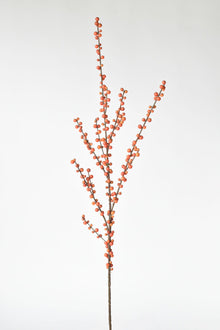 Orange Berry