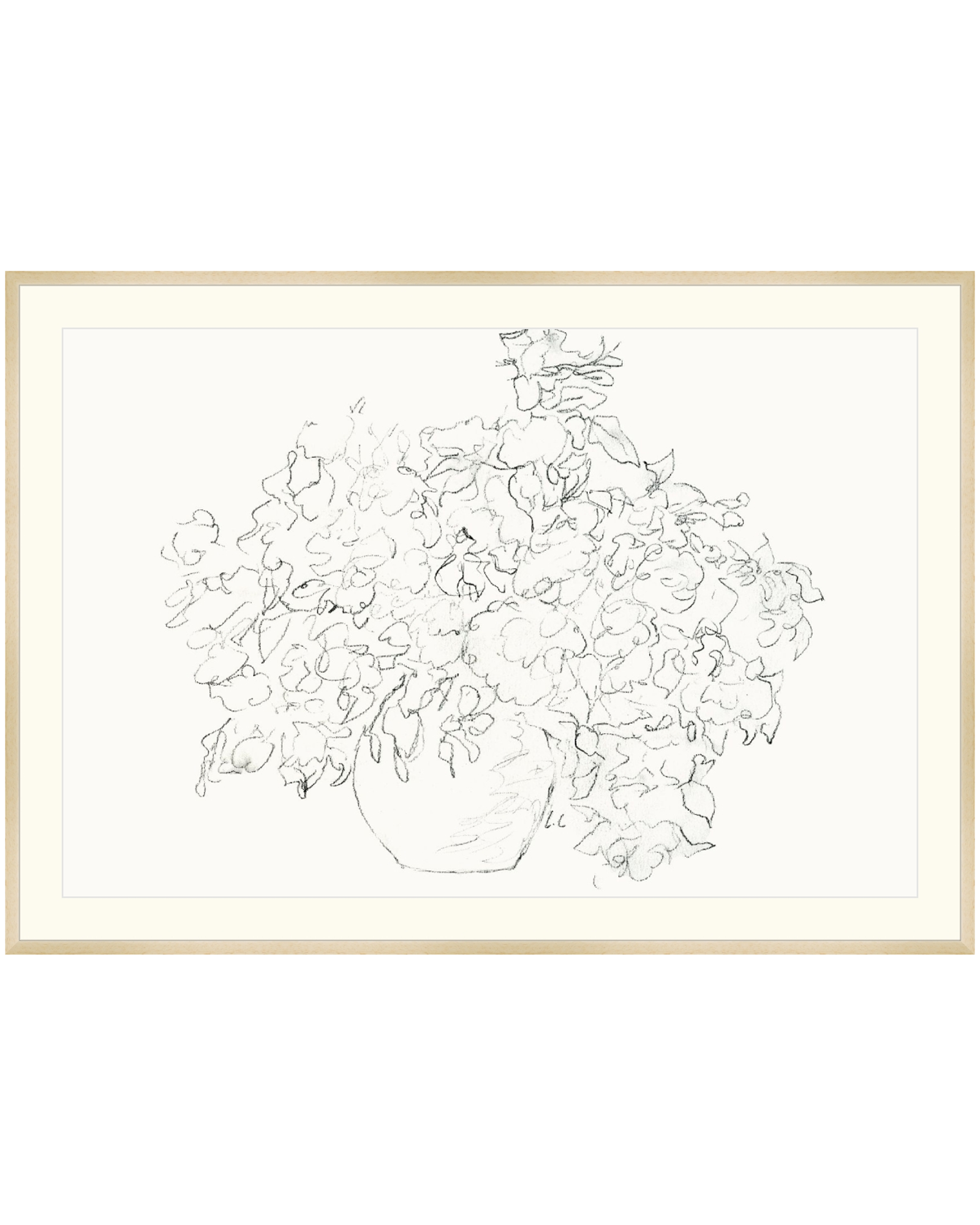 Vase of Flowers Sketch