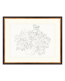 Vase of Flowers Sketch