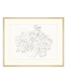 Vase of Flowers Sketch