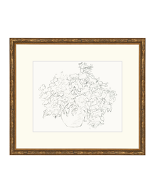 Vase of Flowers Sketch