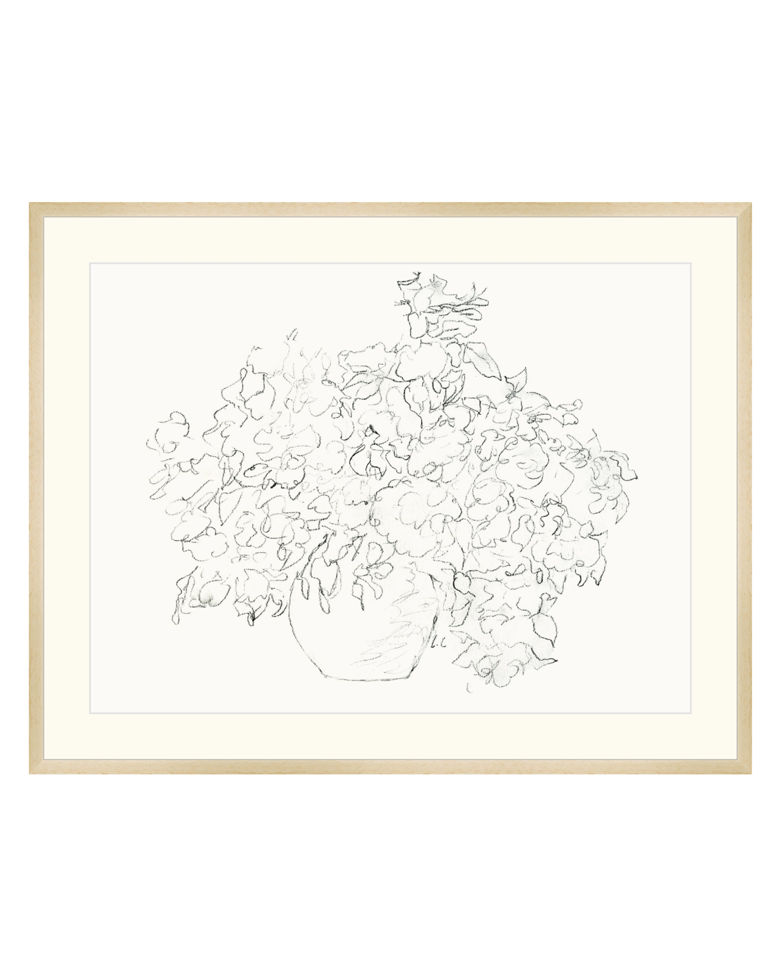 Vase of Flowers Sketch
