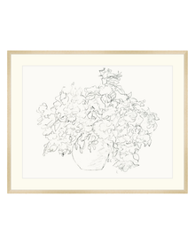 Vase of Flowers Sketch
