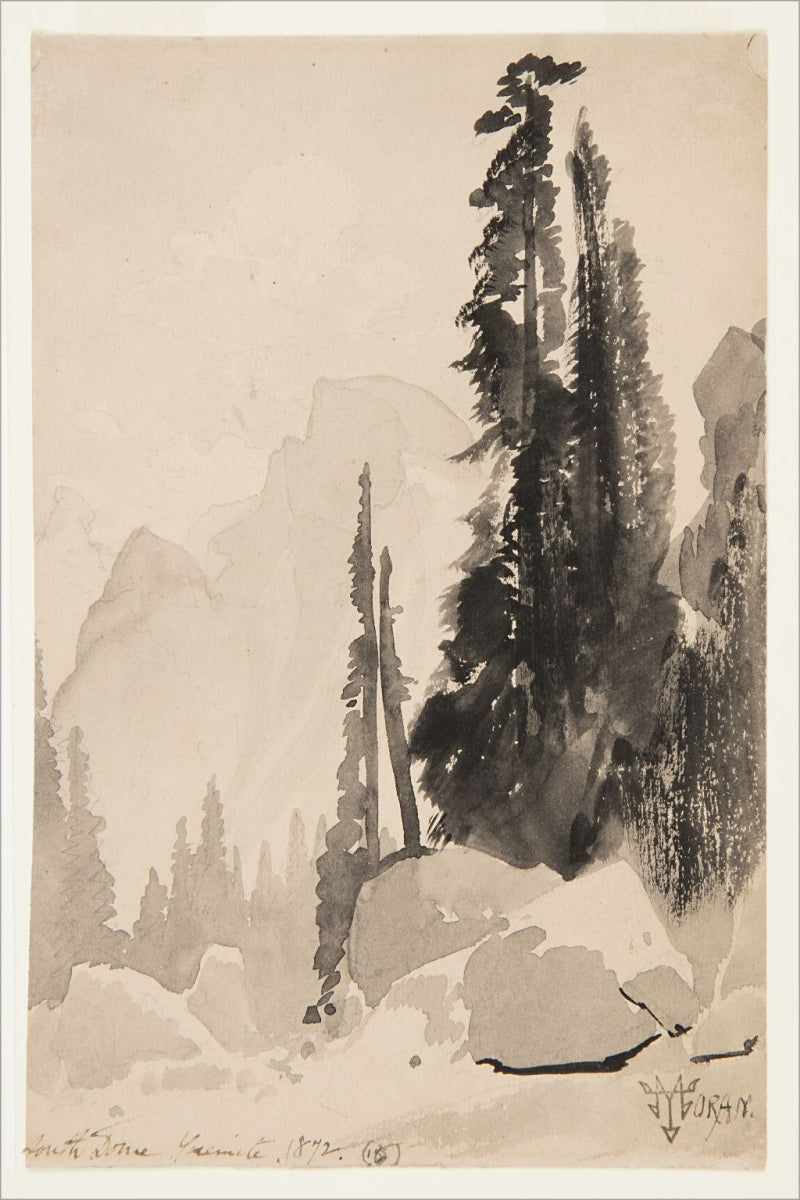 Antique Trees Drawing