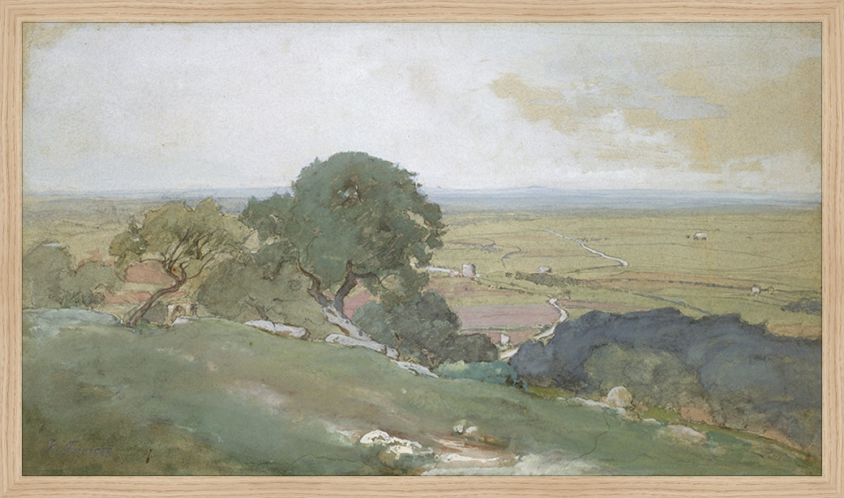 Olivos