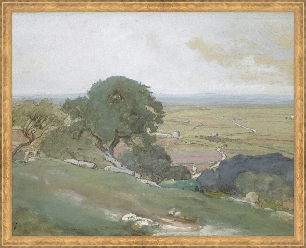 Olivos