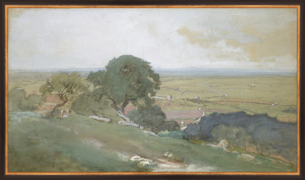 Olivos