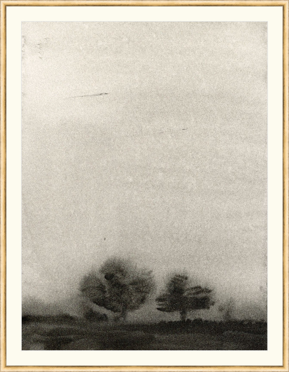 Trees In The Mist