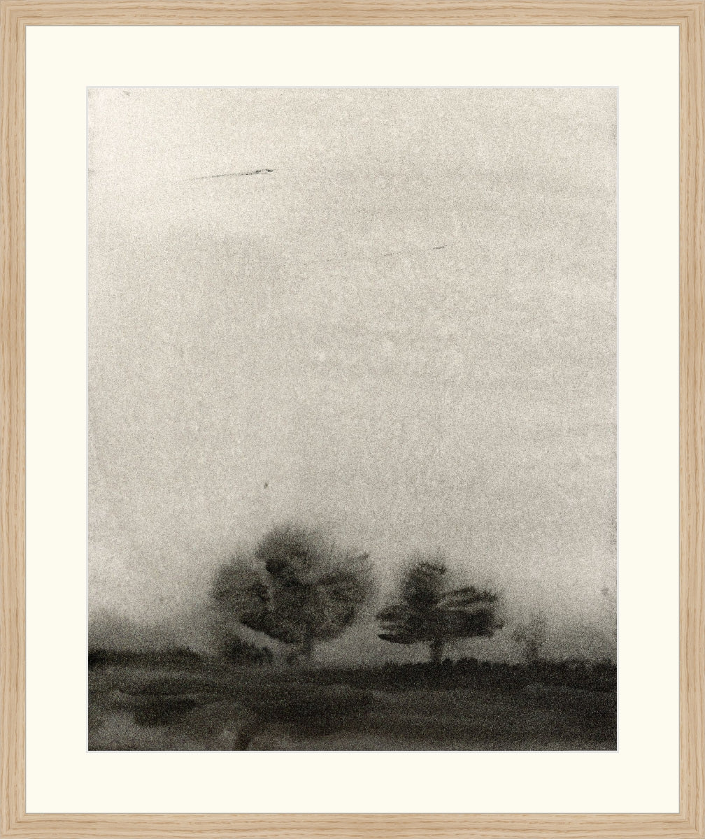 Trees In The Mist