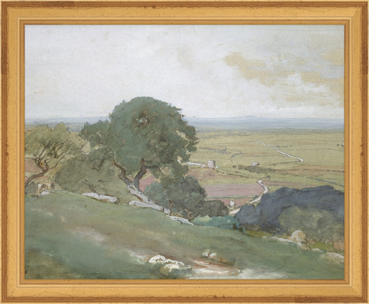 Olivos