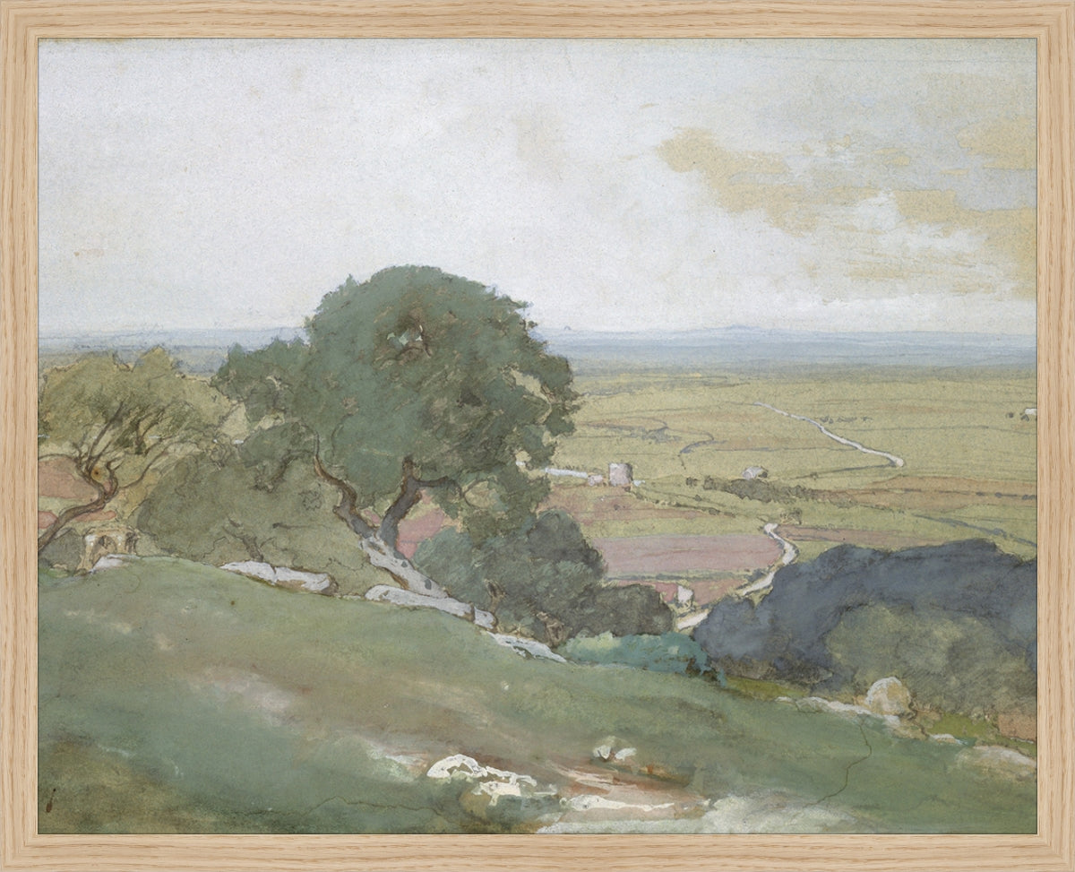 Olivos