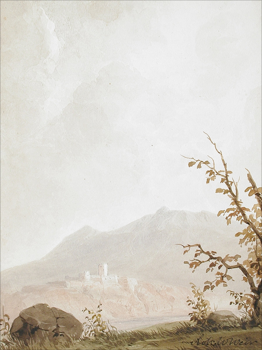 Italian Fields