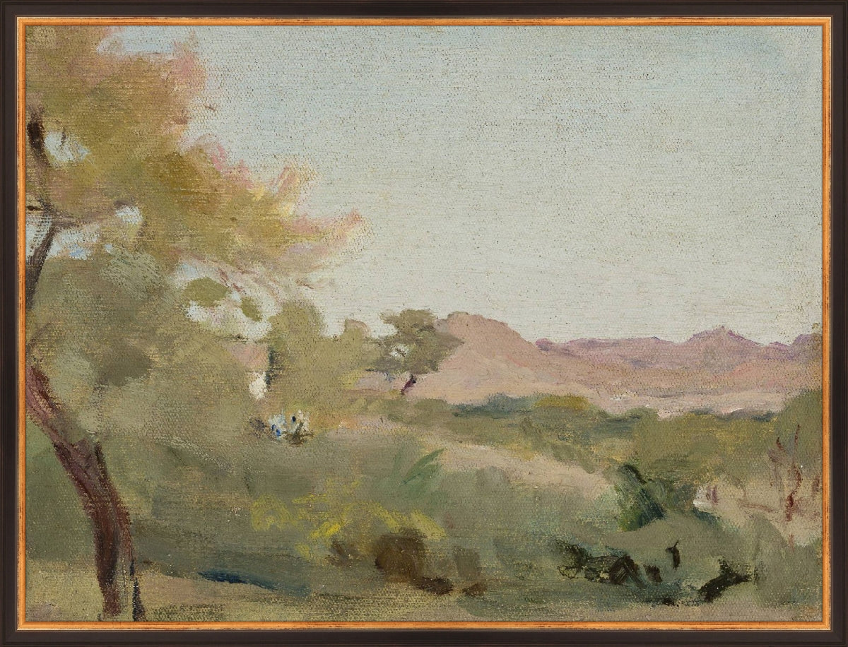 Fields IV