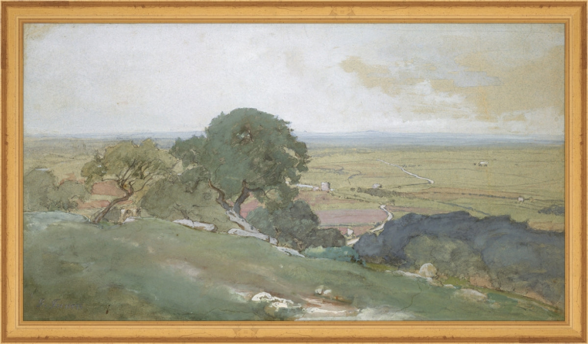 Olivos