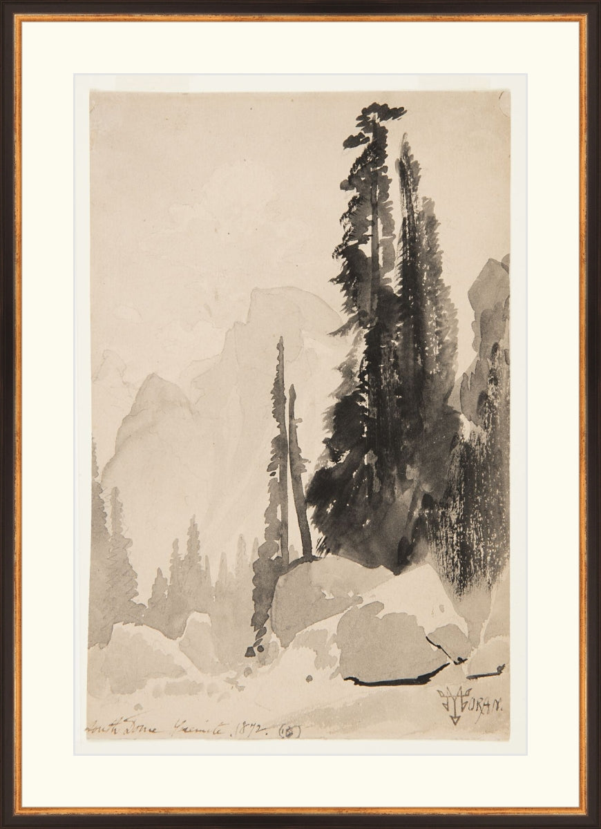Antique Trees Drawing