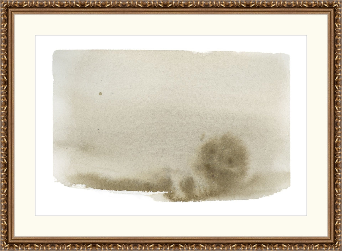 Olive Wash