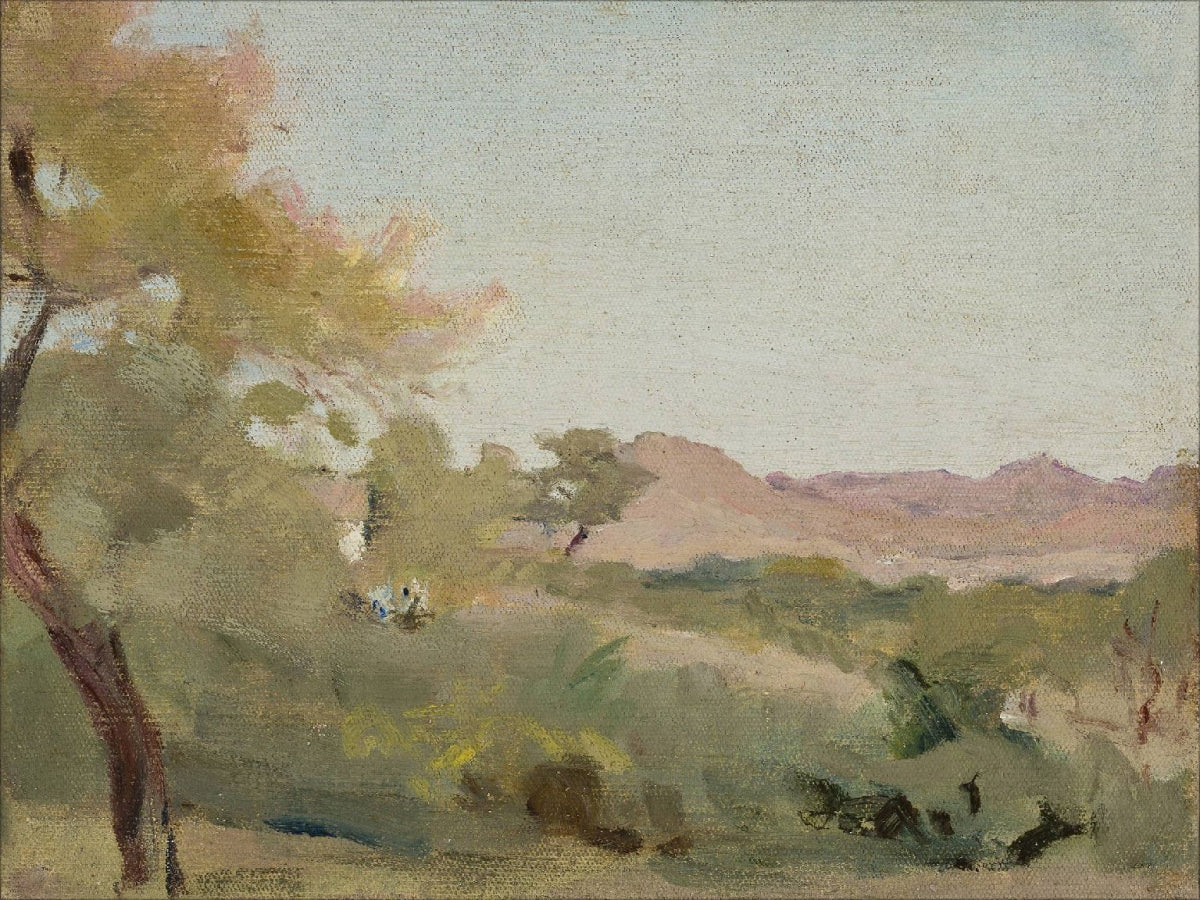 Fields IV