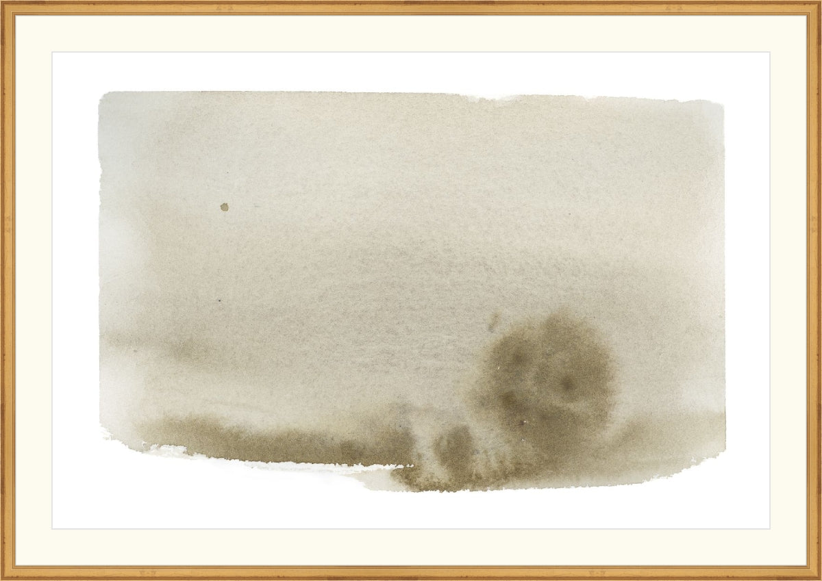 Olive Wash