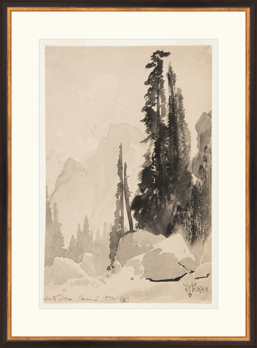 Antique Trees Drawing