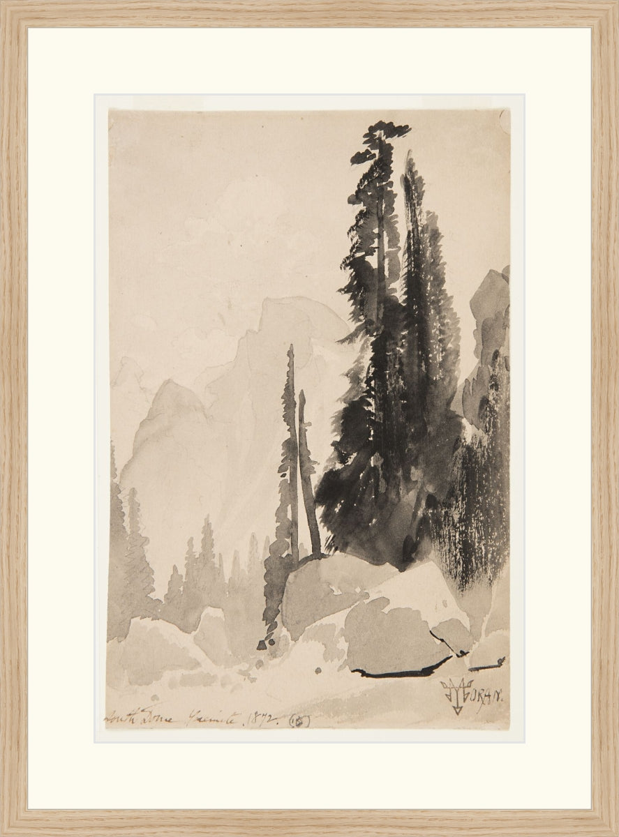 Antique Trees Drawing