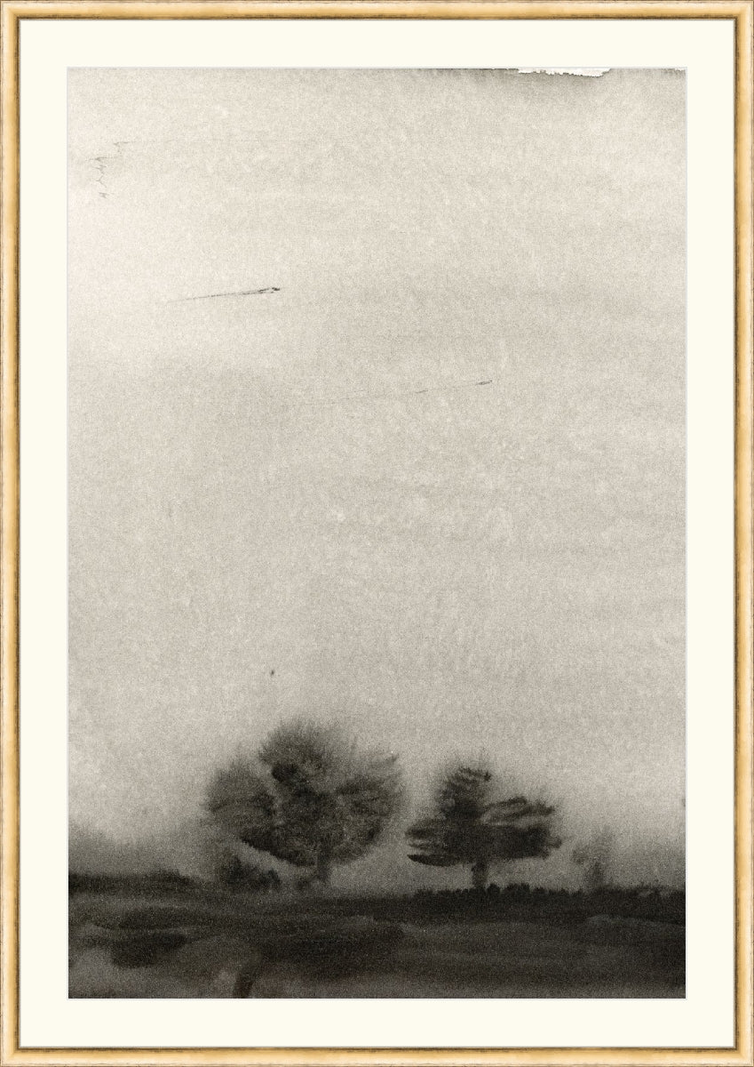 Trees In The Mist