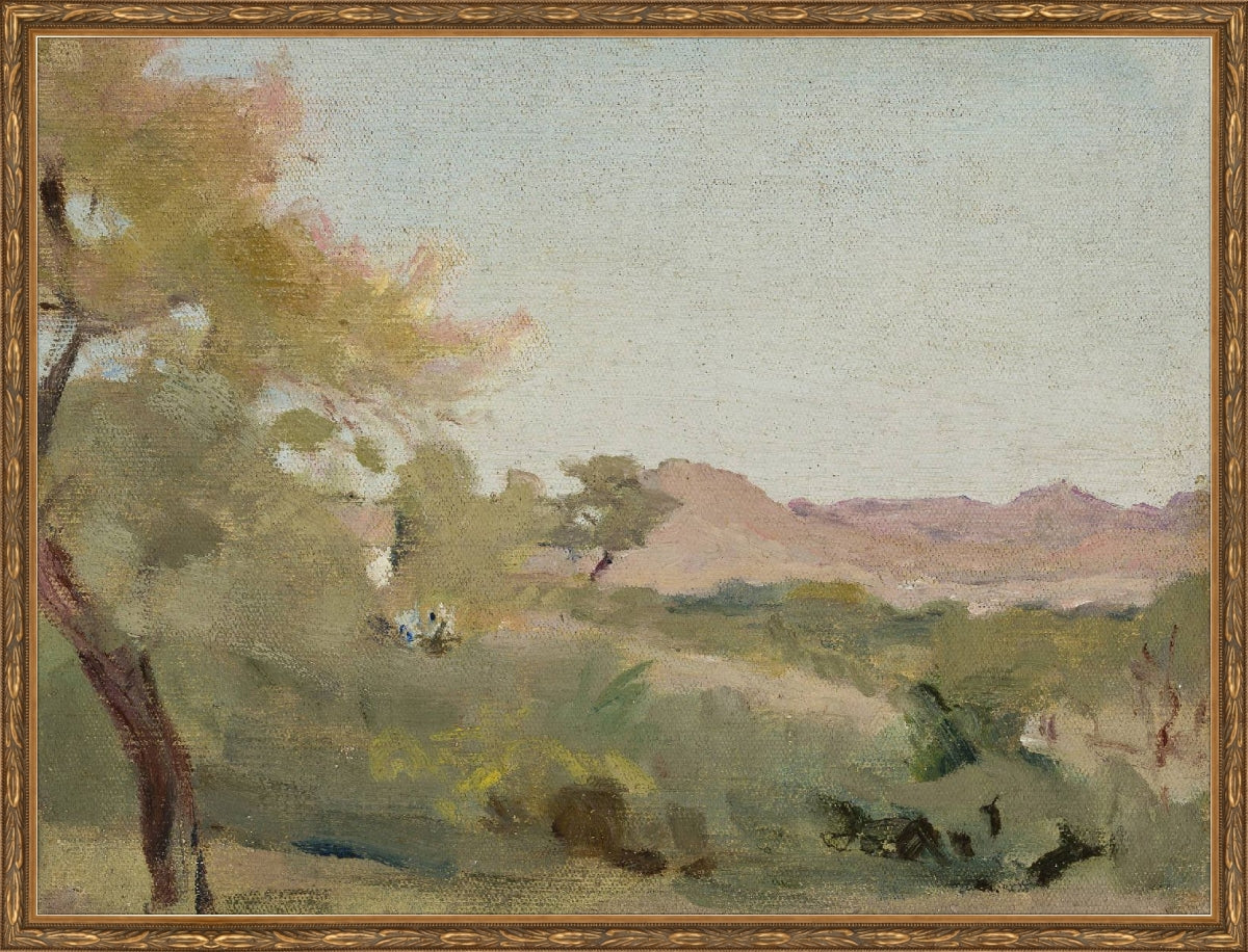 Fields IV