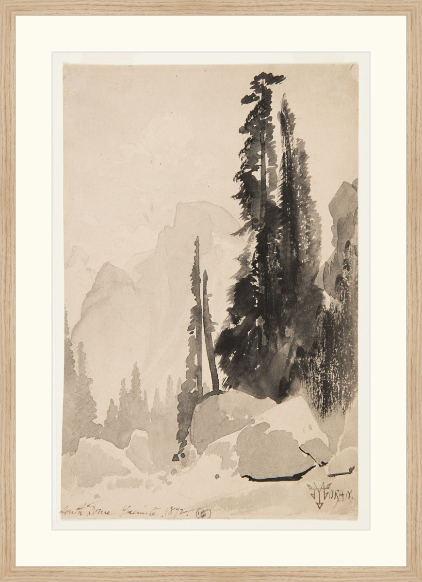 Antique Trees Drawing