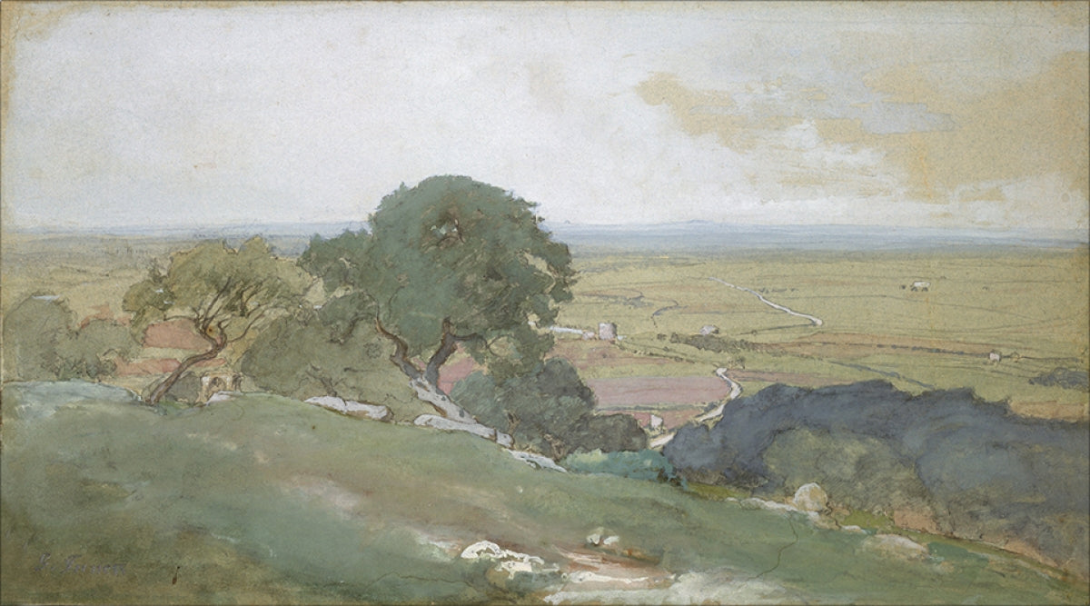 Olivos