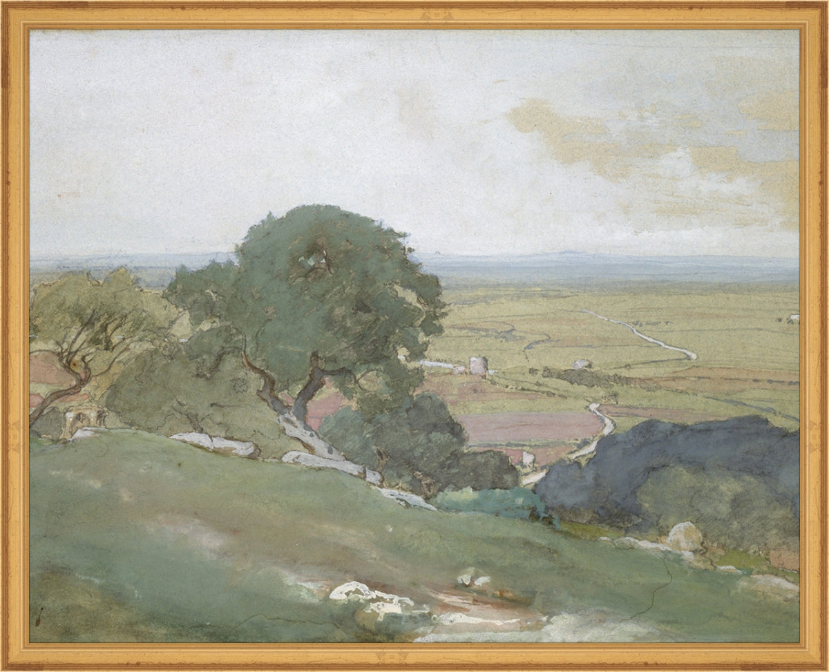 Olivos