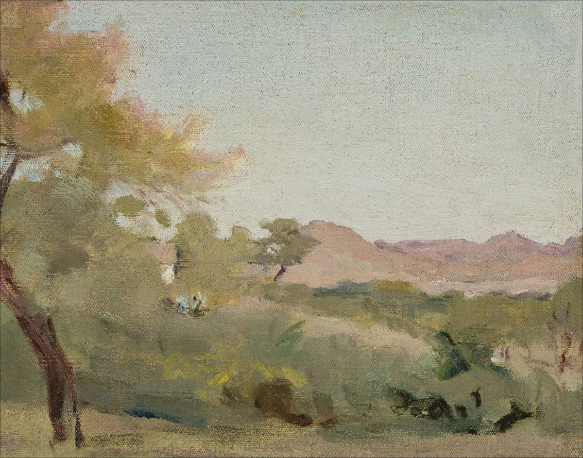 Fields IV