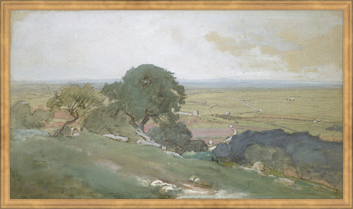 Olivos