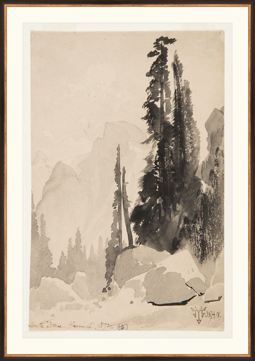 Antique Trees Drawing