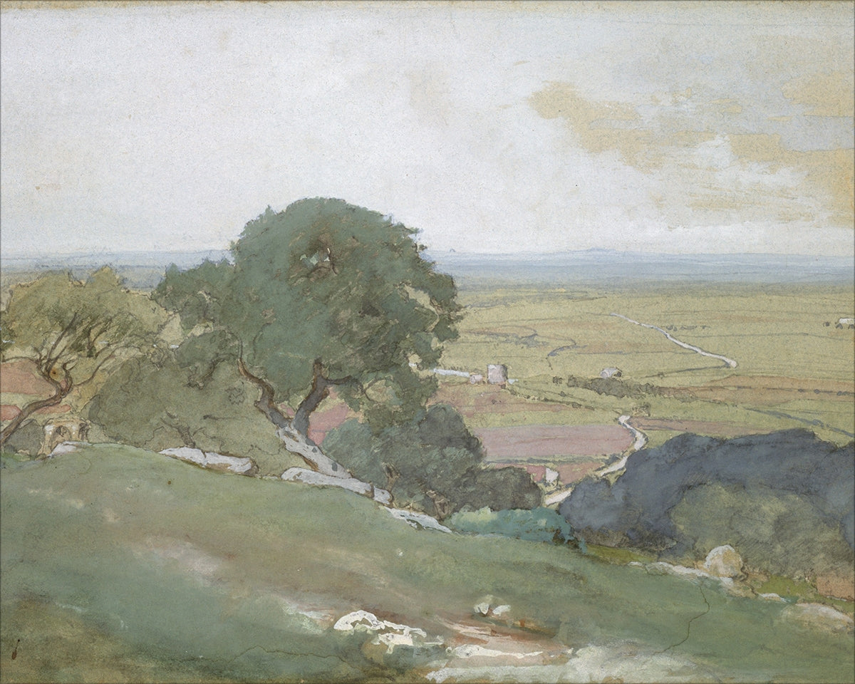 Olivos