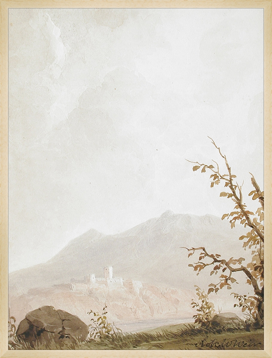 Italian Fields