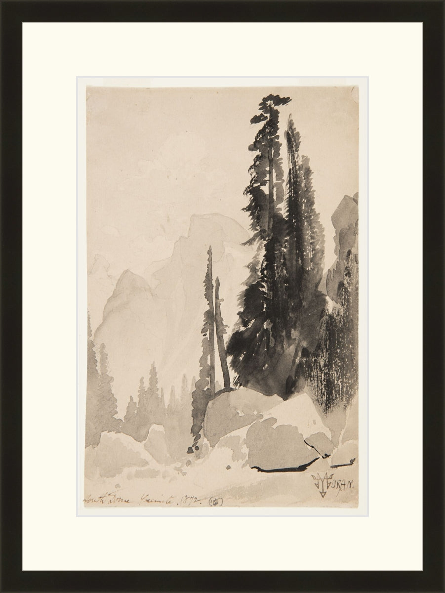Antique Trees Drawing