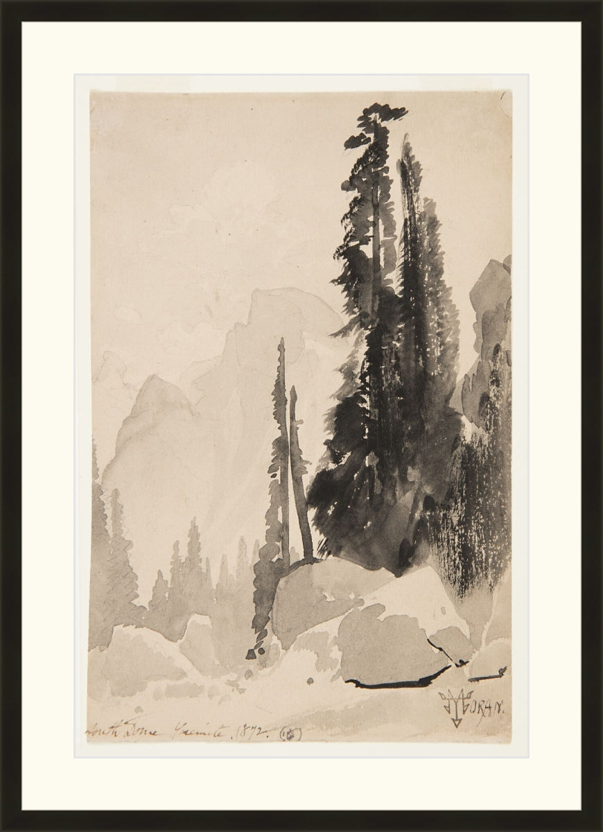 Antique Trees Drawing