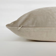 Champagne Velvet Pillow Cover