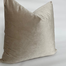 Champagne Velvet Pillow Cover