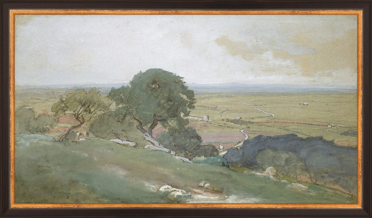 Olivos