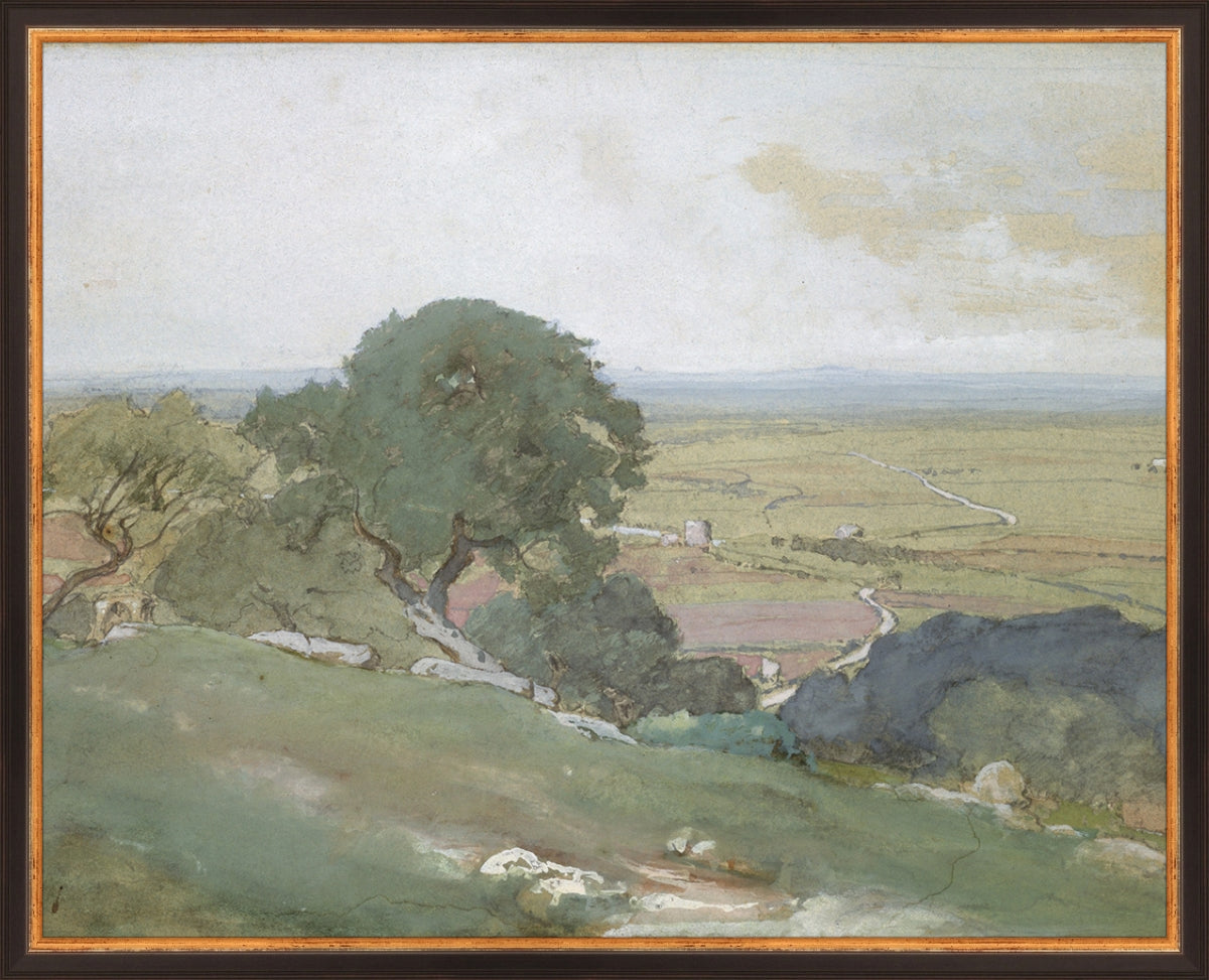 Olivos