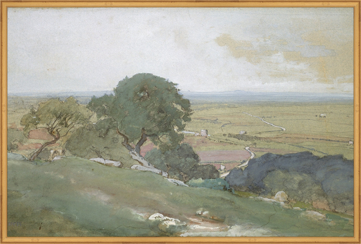 Olivos